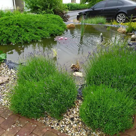 Iris Διαμέρισμα Dolany (Olomouc)