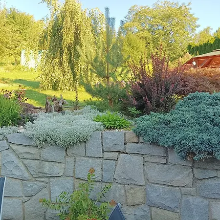 Iris * Dolany (Olomouc)